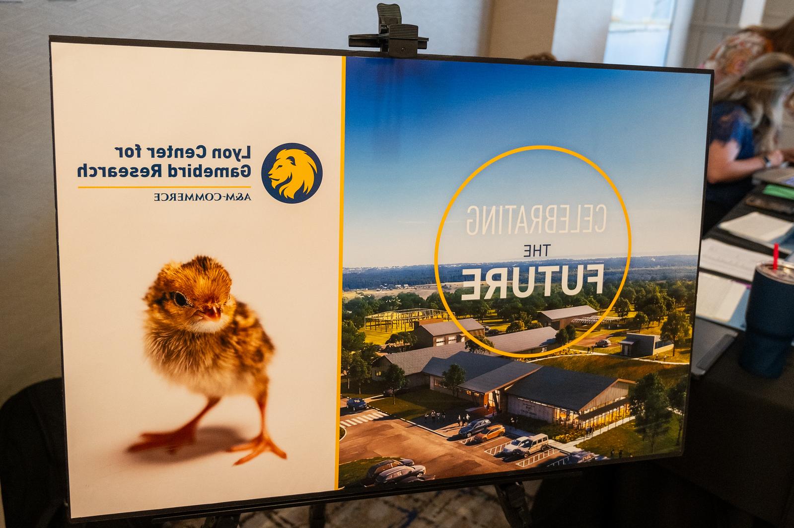 这是一张宣传新里昂中心的海报照片. 海报的左侧是计算机生成的中心图像. 海报的右侧是一只鹌鹑小鸡.
